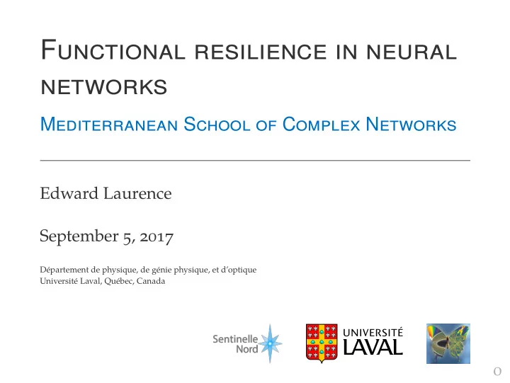functional resilience in neural networks