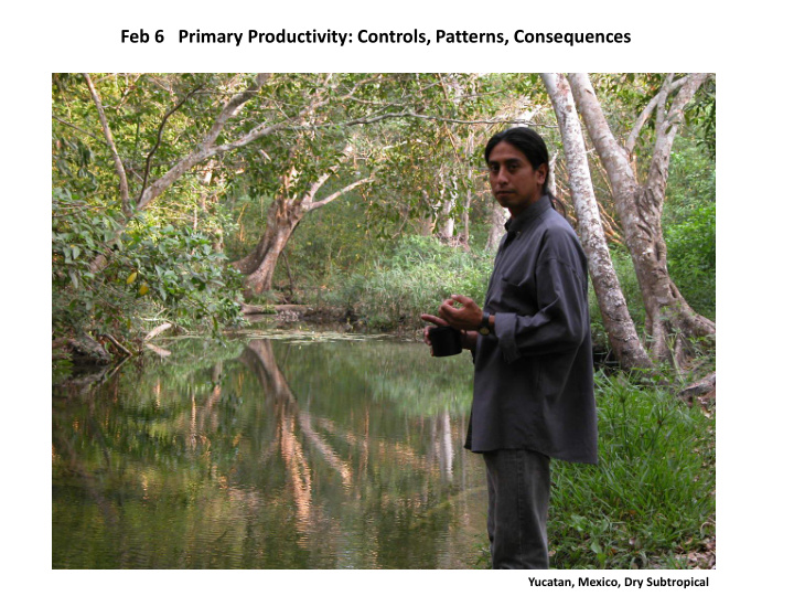 feb 6 primary productivity controls patterns consequences