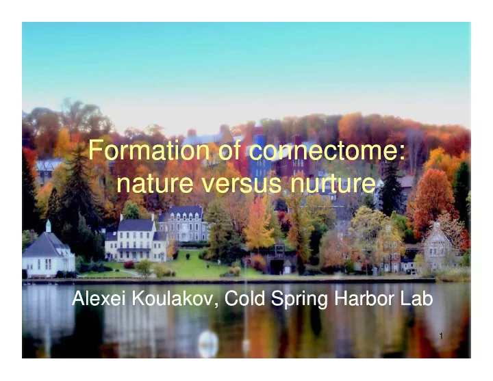 formation of connectome formation of connectome nature