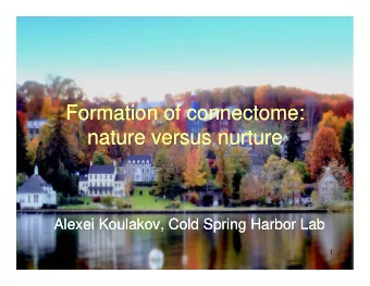 Formation of connectome:  Formation of connectome:  nature versus nurture  nature versus nurture