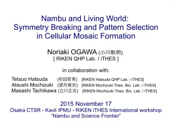 Nambu and Living World:  Symmetry Breaking and Pattern Selection  in Cellular Mosaic Formation