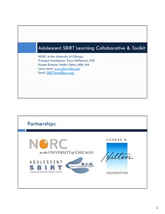 Partnerships  1  National Initiative to Prepare Social Work and Nursing  Professionals  Learning