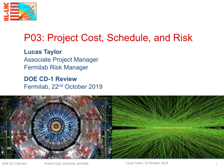p03 project cost schedule and risk