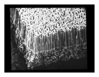 FREQUENCY  OF  SEEING  EXPERIMENTS  (Hecht, Shlaer and Pirenne, 1942)  100  80  target  = 2    60