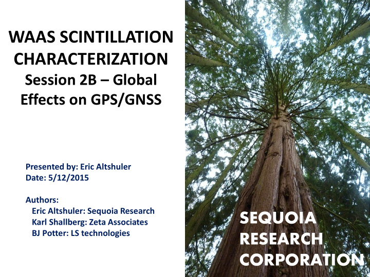 waas scintillation characterization