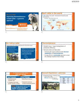 Beef cattle in the world  S1064  BIF, June 2019  &gt; 50% cattle in the world  maintained