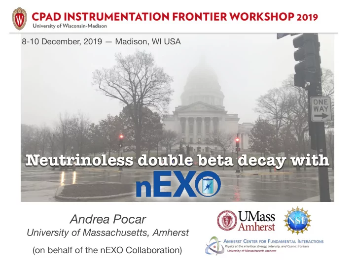 neutrinoless double beta decay with