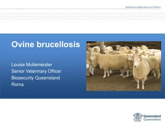 Ovine brucellosis  Louise Mullemeister  Senior Veterinary Officer  Biosecurity Queensland  Roma