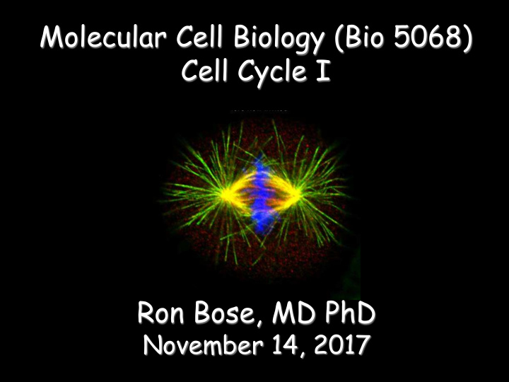 molecular cell biology bio 5068 cell cycle i ron bose md