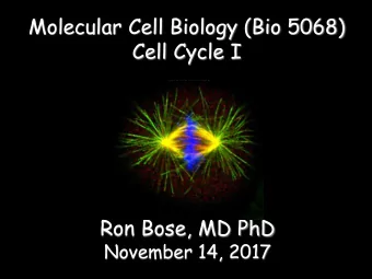 Molecular Cell Biology (Bio 5068)  Cell Cycle I  Ron Bose, MD PhD November 14, 2017  CELL DIVISION