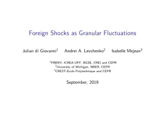 Foreign Shocks as Granular Fluctuations Julian di Giovanni 1 Andrei A. Levchenko 2 Isabelle Mejean