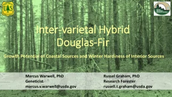 In  Inter-varietal Hybrid  id  Dougla  las-Fir  ir  Growth Potential of Coastal Sources and Winter