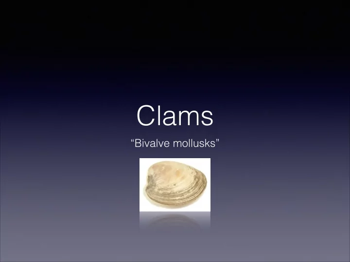 clams