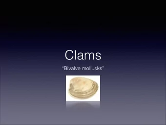 Clams  Bivalve mollusks  Appearance  A clams shell consists two halves that are