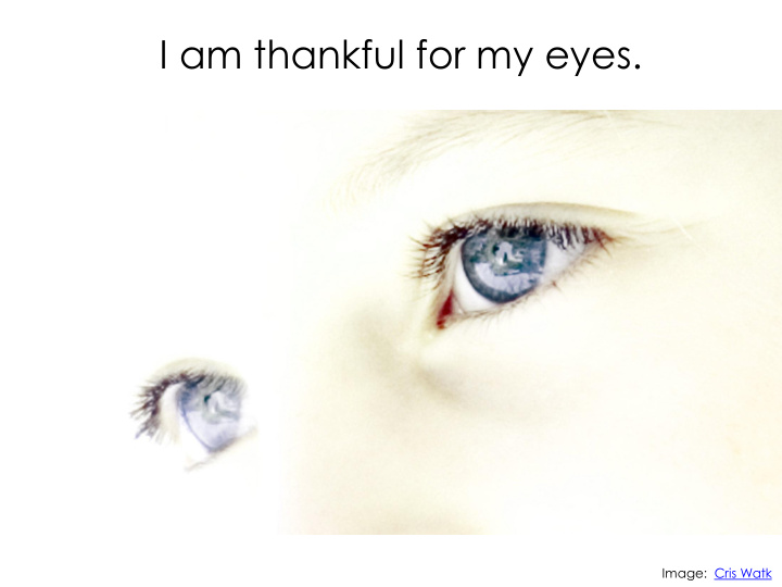 i am thankful for my eyes