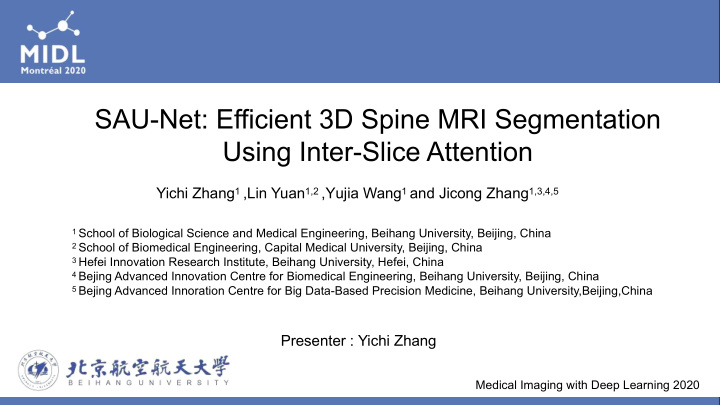 sau net efficient 3d spine mri segmentation using inter