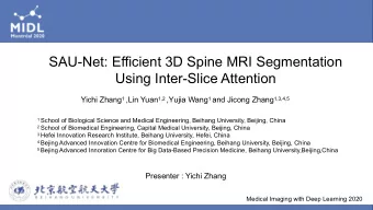 SAU-Net: Efficient 3D Spine MRI Segmentation  Using Inter-Slice Attention Yichi Zhang 1 ,Lin Yuan