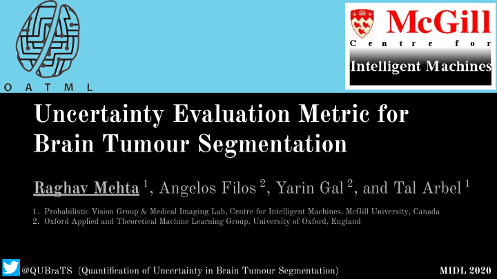 uncertainty evaluation metric for brain tumour