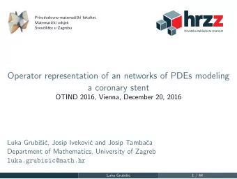 Operator representation of an networks of PDEs modeling  a coronary stent  OTIND 2016, Vienna,