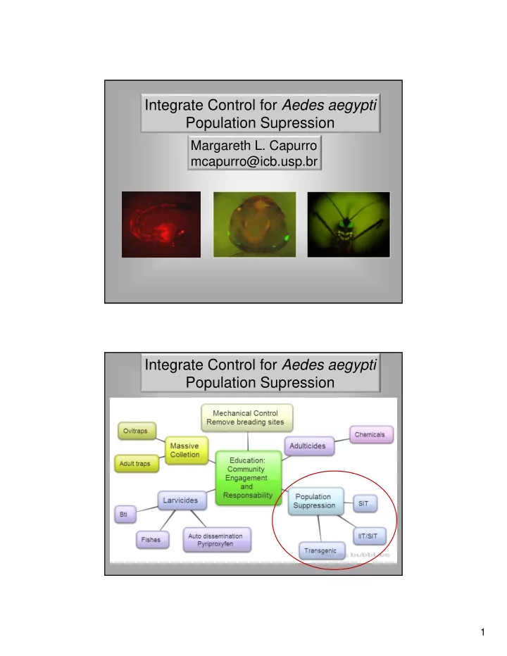 integrate control for aedes aegypti population supression