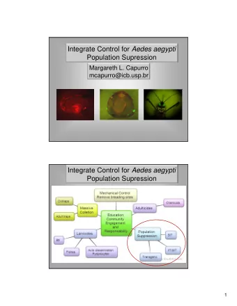 Integrate Control for Aedes aegypti  Population Supression  Margareth L. Capurro