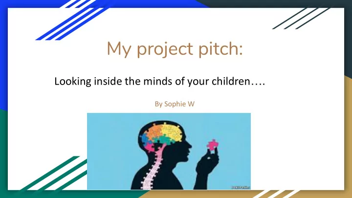 my project pitch