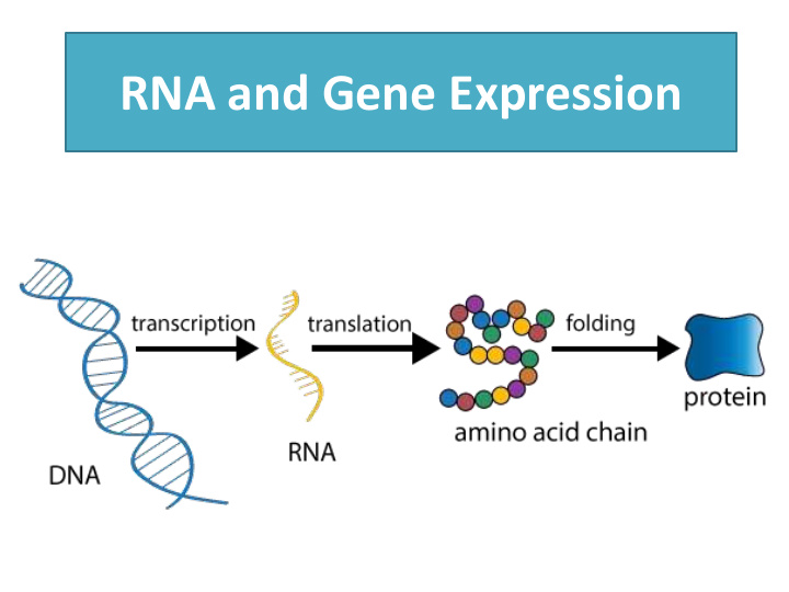 rna and gene expression how does dna determine our traits