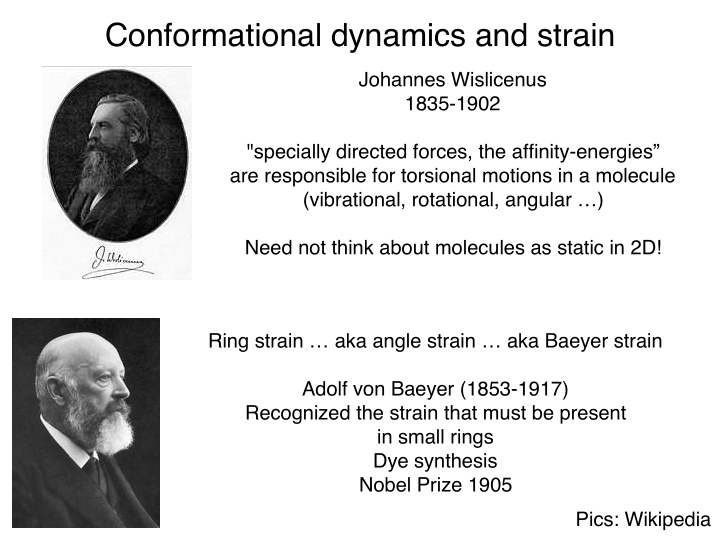 conformational dynamics and strain