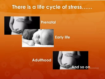 There is a life cycle of stress  Prenatal  Early life  Adulthood  And so on.  Thus,