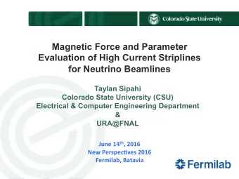 Magnetic Force and Parameter  Evaluation of High Current Striplines  for Neutrino Beamlines  Taylan