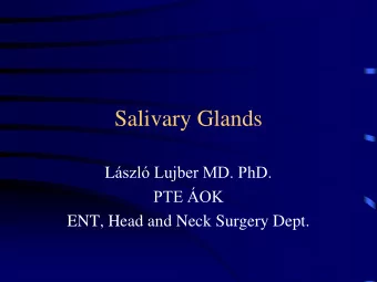 Salivary Glands L szl Lujber MD. PhD. PTE OK  ENT, Head and Neck Surgery Dept.