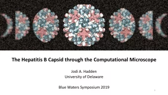 The Hepatitis B Capsid through the Computational Microscope  Jodi A. Hadden  University of Delaware
