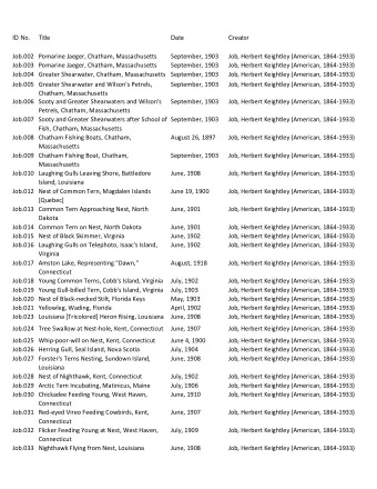 Job.002 Pomarine Jaeger, Chatham, Massachusetts  September, 1903  Job, Herbert Keightley (American,