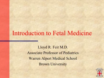 Introduction to Fetal Medicine  Lloyd R. Feit M.D.  Associate Professor of Pediatrics  Warren