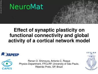 functional connectivity and global  activity of a cortical network model  Renan O. Shimoura,