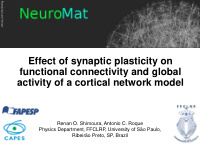 functional connectivity and global