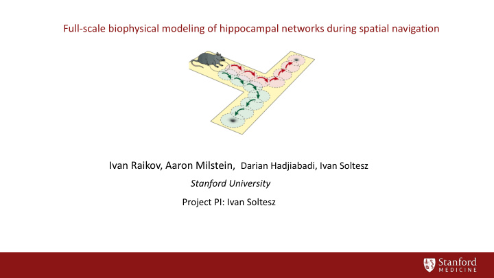 full scale biophysical modeling of hippocampal networks