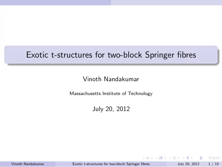 exotic t structures for two block springer fibres