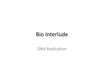 Bio Interlude  DNA Replication  DNA Replication: Basics  G  T  T  A  A  G  T  T  T  C  5