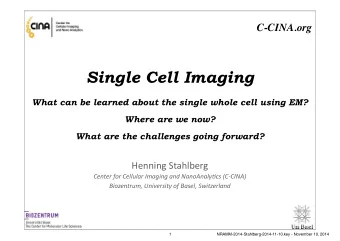 Single Cell Imaging  What can be learned about the single whole cell using EM?  Where are we now?