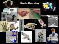 hands overview outline