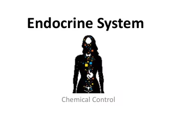 Endocrine System  Chemical Control  Endocrine System  A system of glands that release chemical