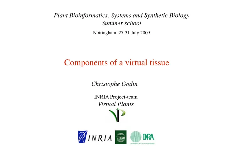 components of a virtual tissue