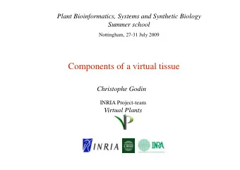 Components of a virtual tissue  Christophe Godin  INRIA Project-team Virtual Plants Growth areas in