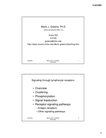 Overview   Clustering   Phosphorylation   Signal trasduction   Receptor signaling