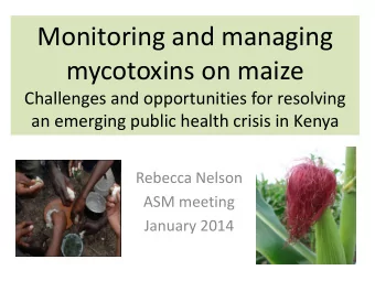 mycotoxins on maize  Challenges and opportunities for resolving  an emerging public health crisis