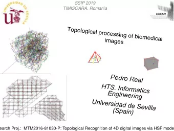 CA2013  Mlaga  Research Proj.:  MTM2016-81030-P: Topological Recognition of 4D digital images via