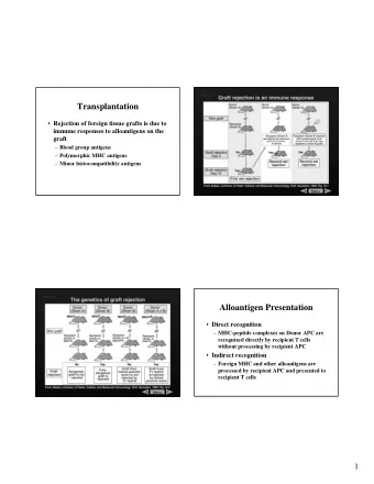 Transplantation  Rejection of foreign tissue grafts is due to  immune responses to alloantigens