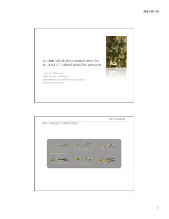 2015-07-20  codon substitution models and the  analysis of natural selection pressure  Joseph P.