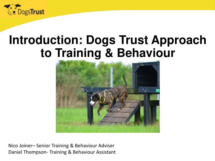 introduction dogs trust approach to training behaviour